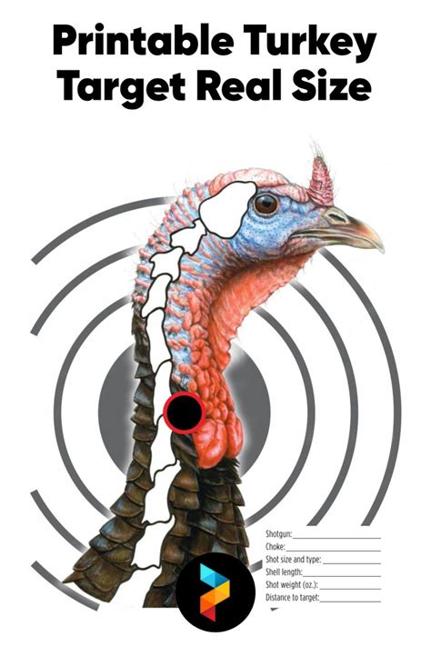 free printable turkey target printable|free printable turkey targets.